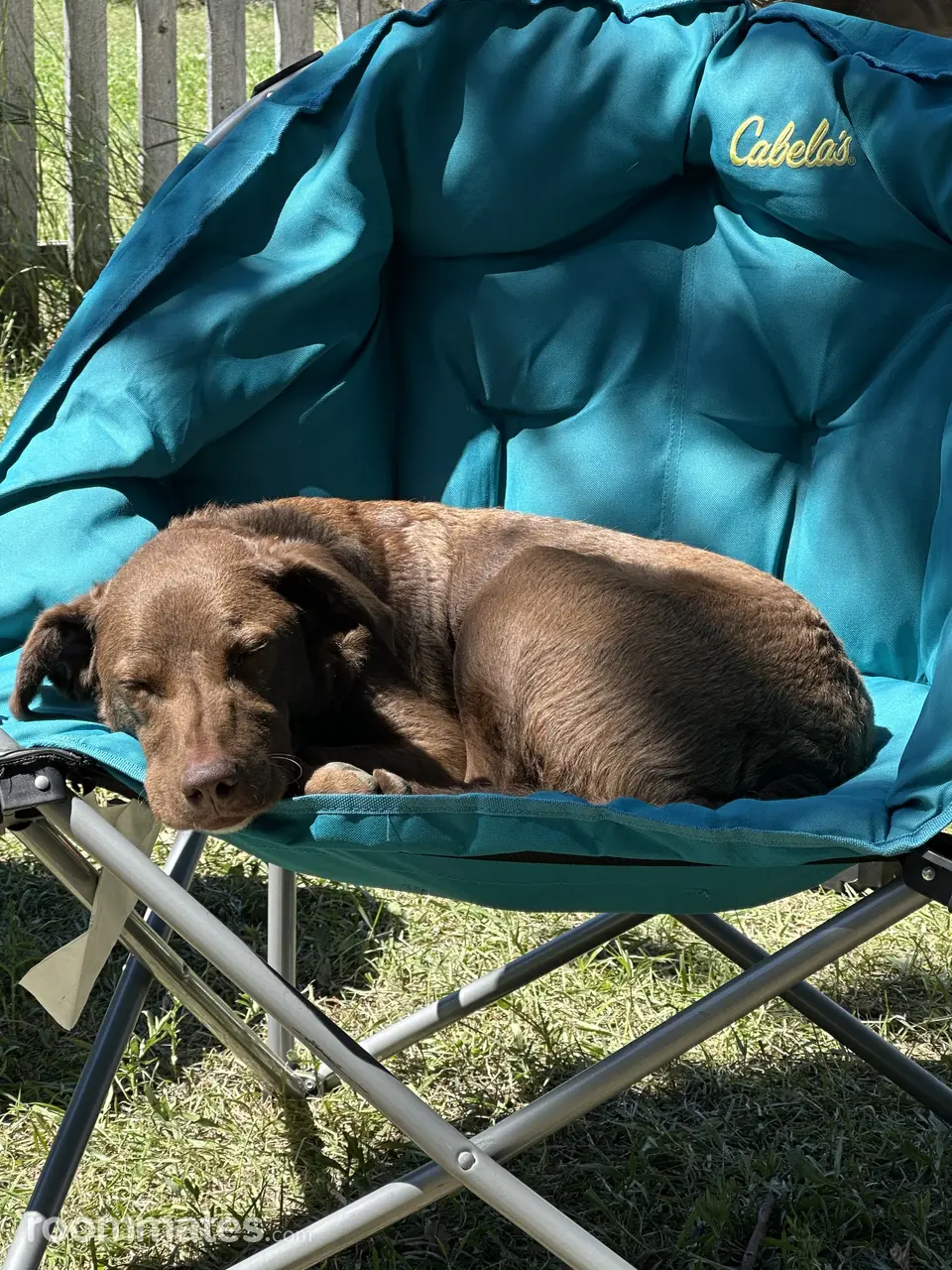 Profile photo 2 of 4