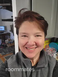 Roommate looking Emmaus, PA, $1000