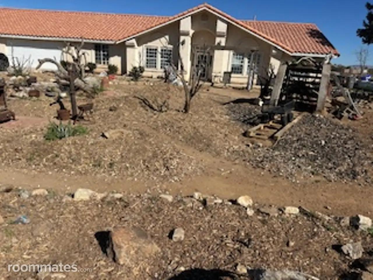 Profile photo 5 of 5