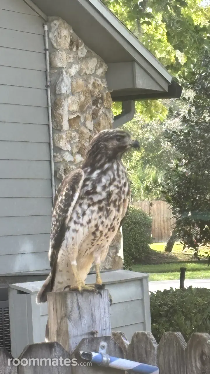 Profile photo 16 of 20