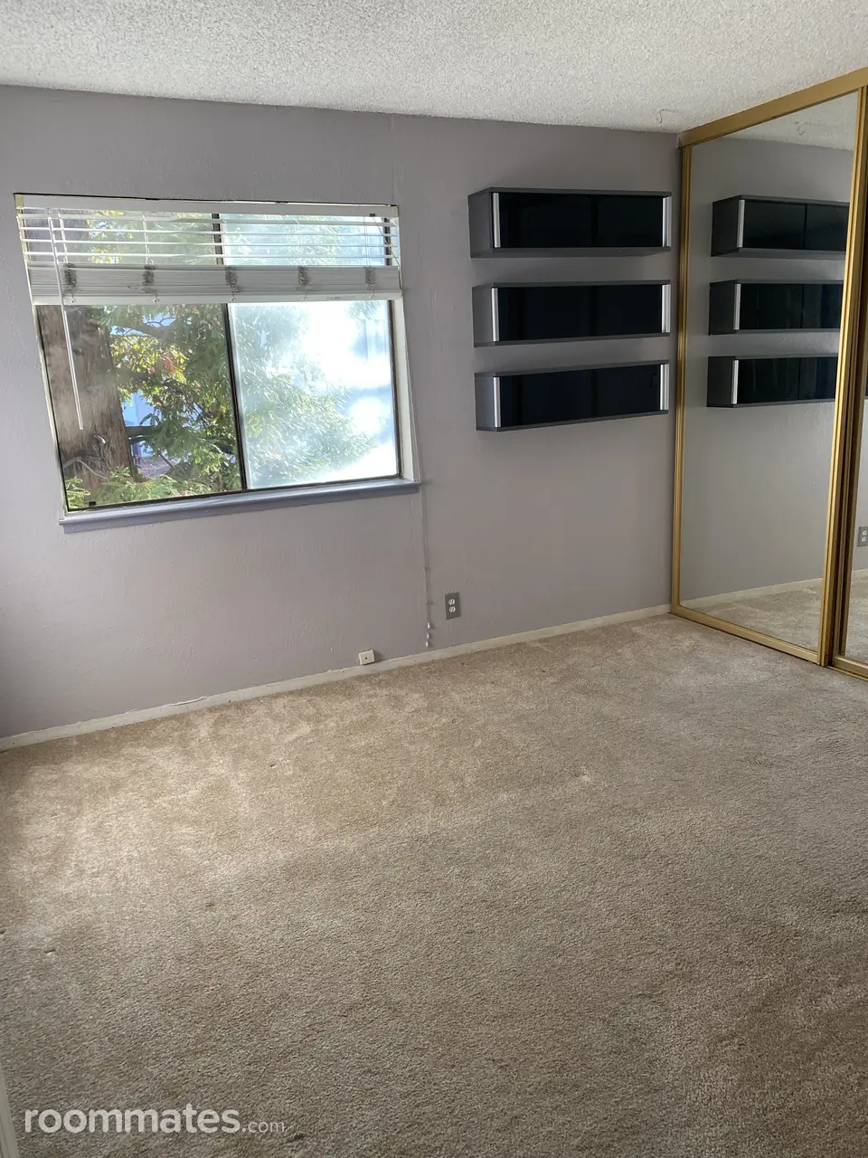 Profile photo 3 of 11