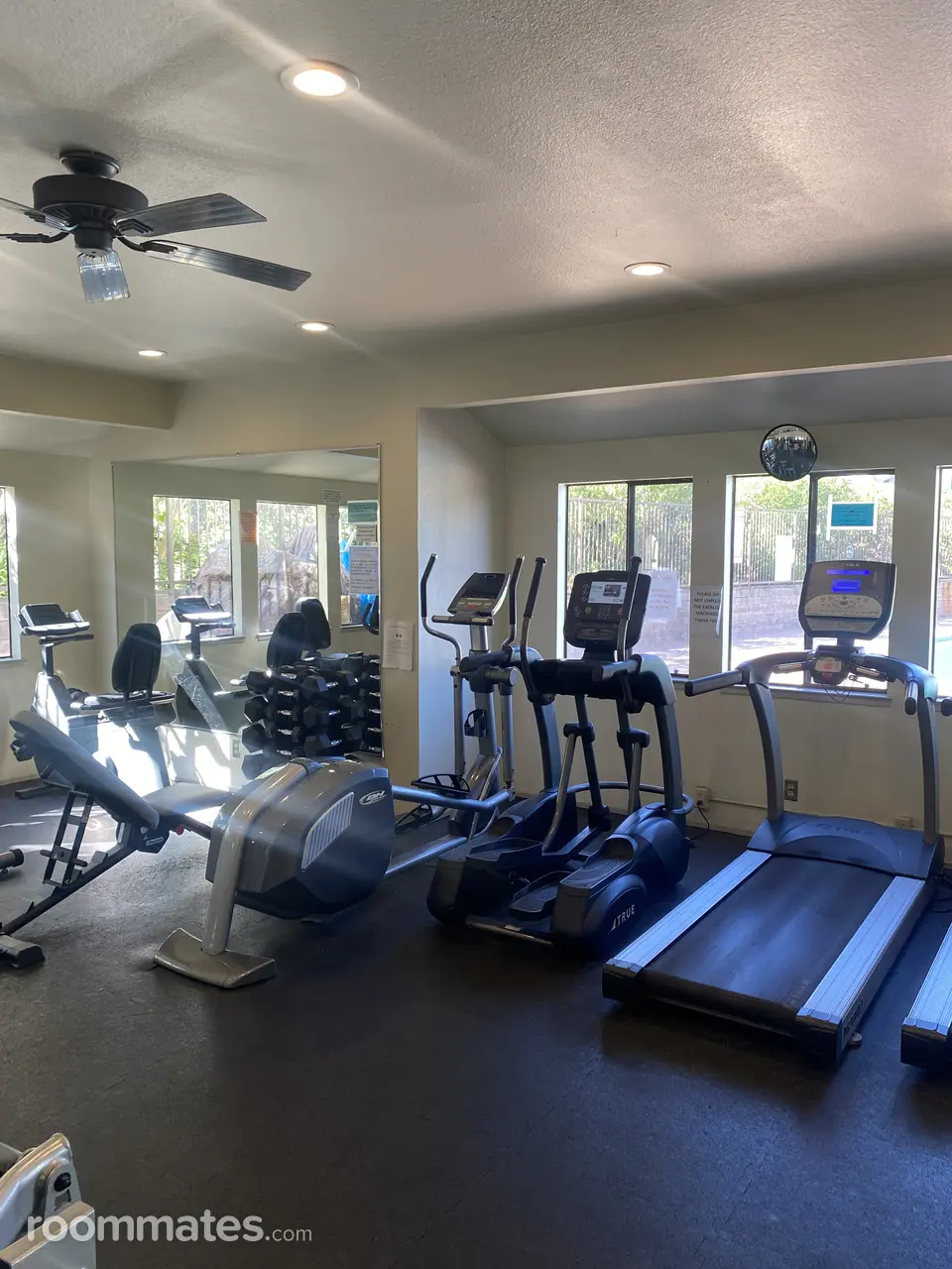 Profile photo 8 of 11