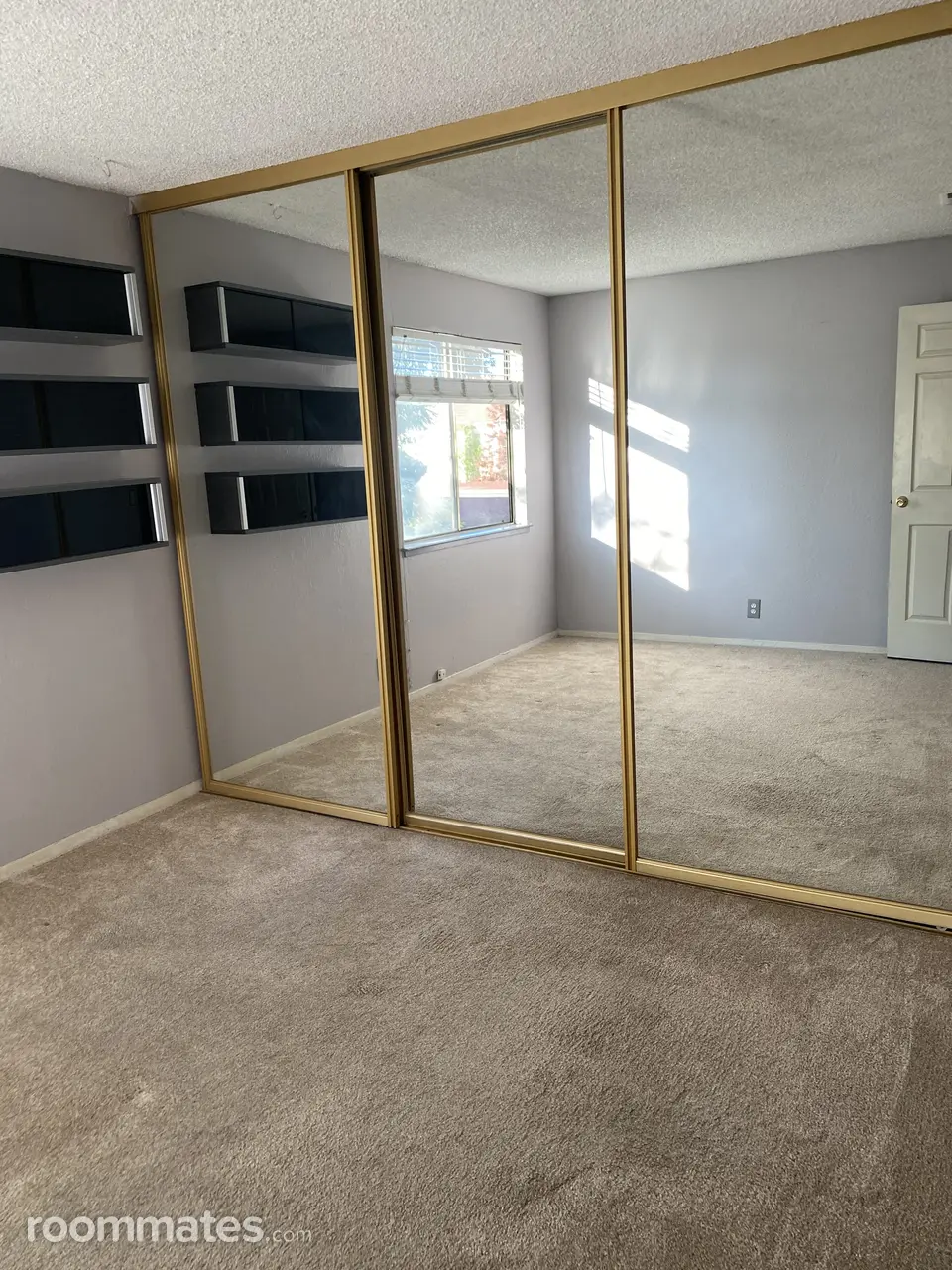 Profile photo 4 of 11