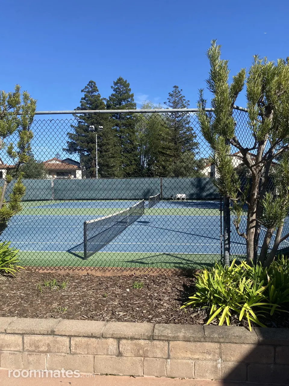 Profile photo 10 of 11