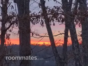 Roommate looking Weaverville, NC, $800