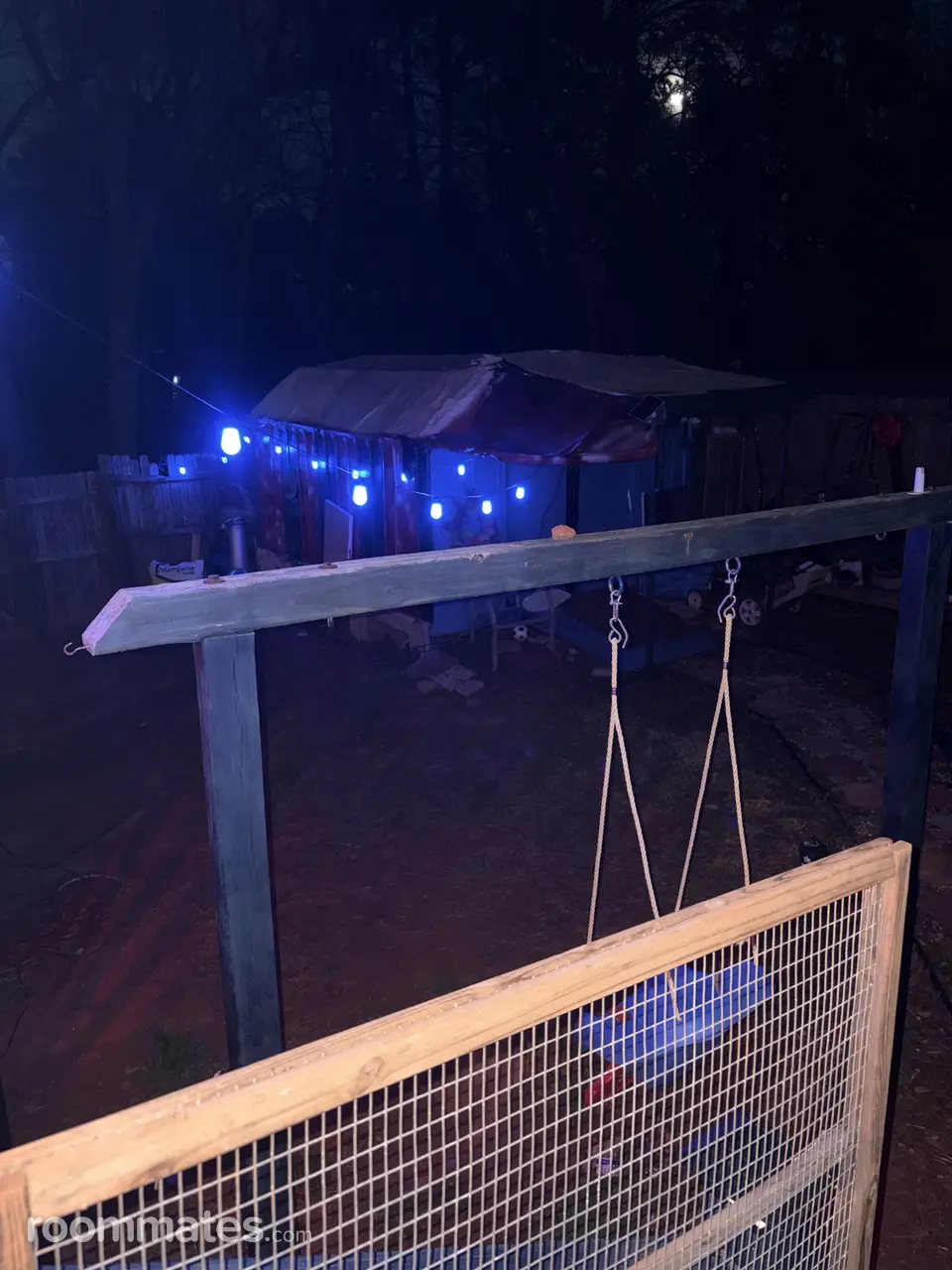 Profile photo 9 of 10