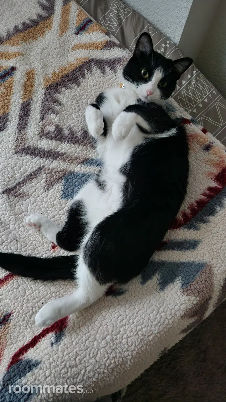 Profile photo 5 of 11