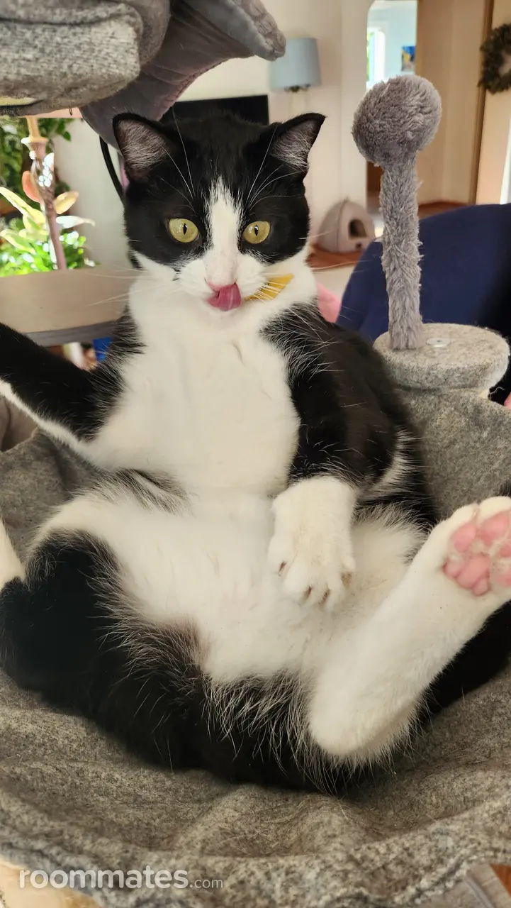 Profile photo 8 of 11