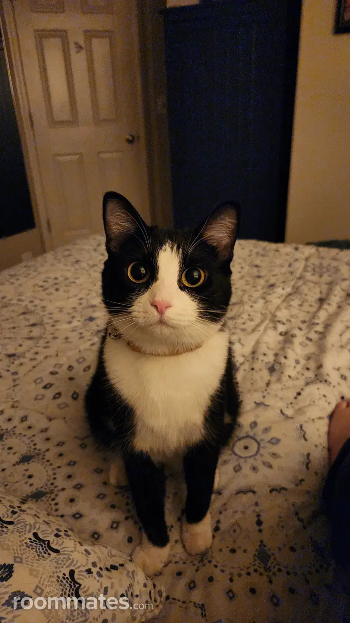 Profile photo 3 of 11