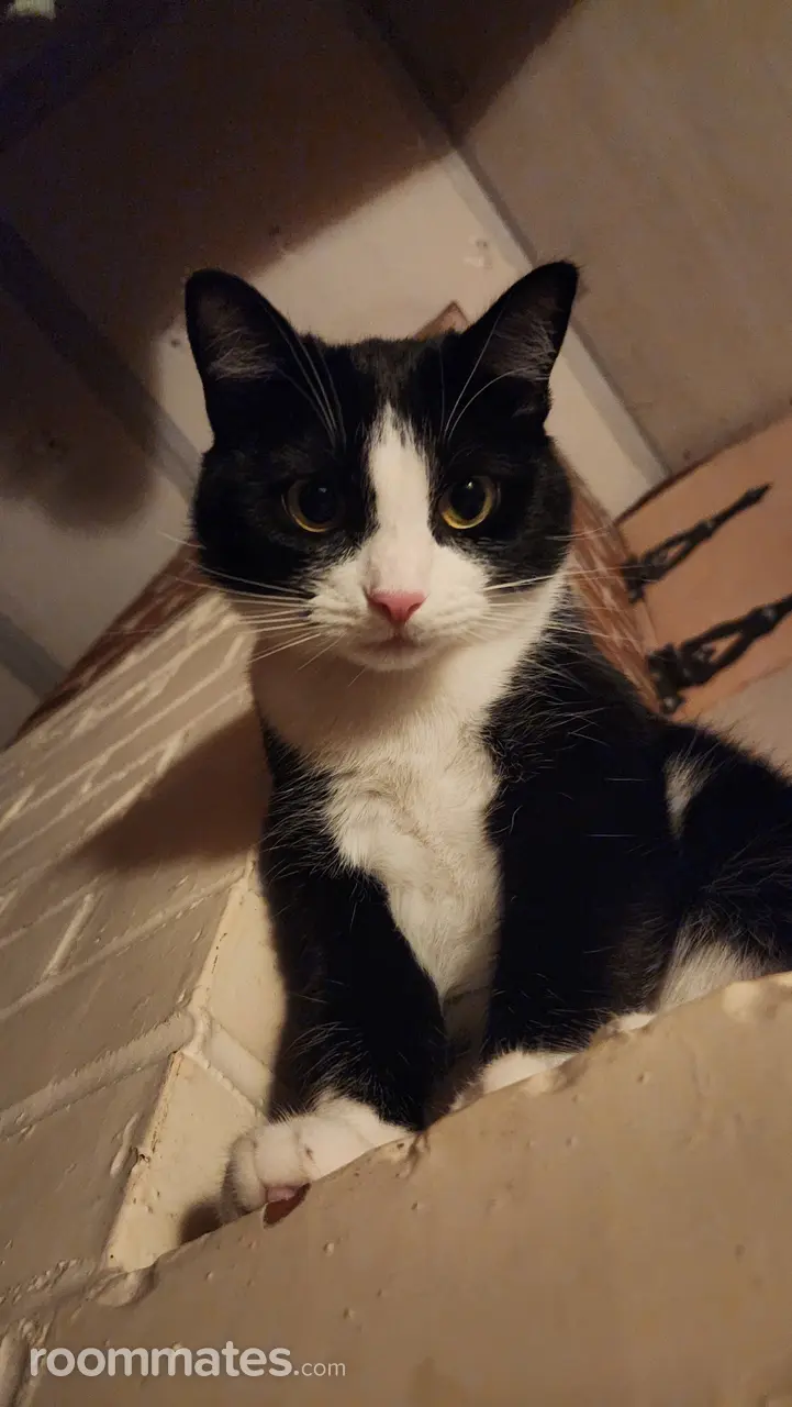 Profile photo 9 of 11