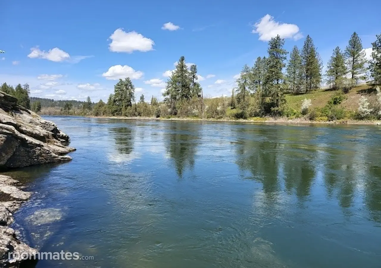 Profile photo 1 of 2