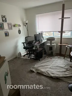 Room for rent in DeKalb, IL $650, apartment