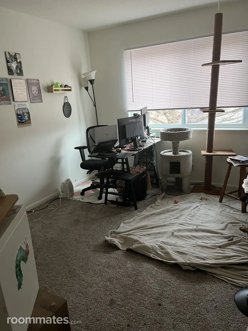 Profile photo 2 of 3