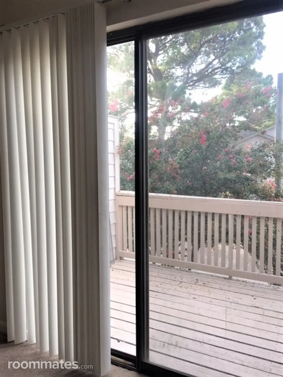 Profile photo 2 of 6