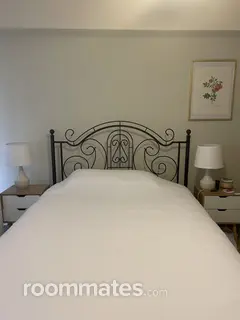 Room for rent in Spring, TX $800, house