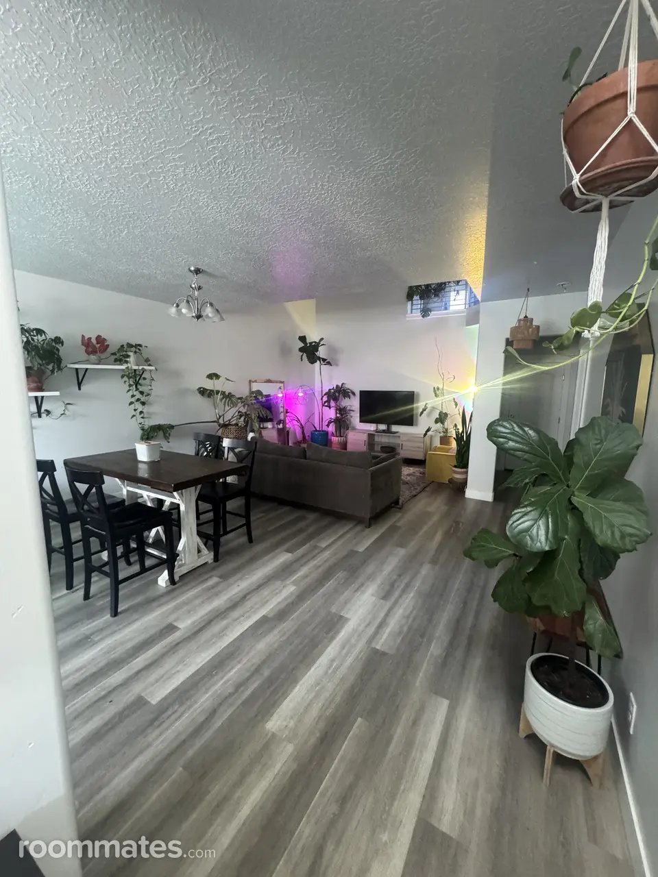 Profile photo 2 of 9