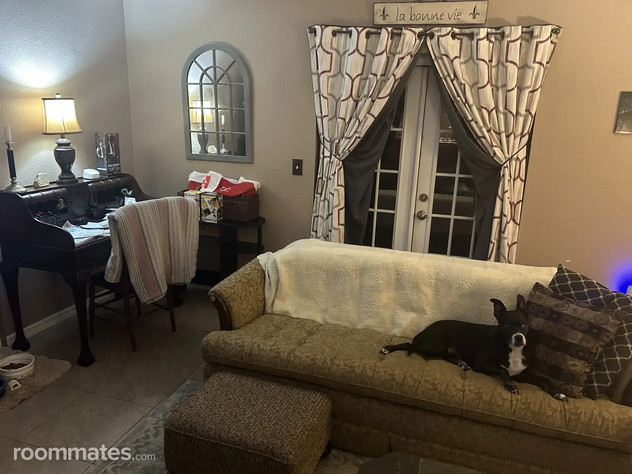 Profile photo 8 of 11