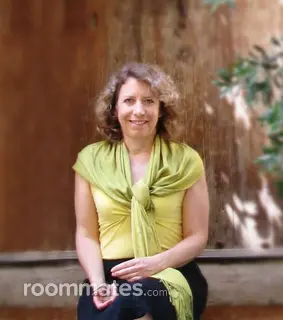 Roommate looking Rochester, MI, $700