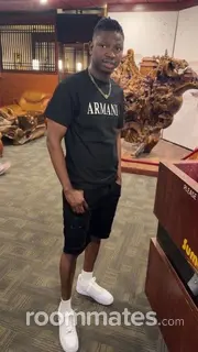 Roommate looking Madison, WI, $700