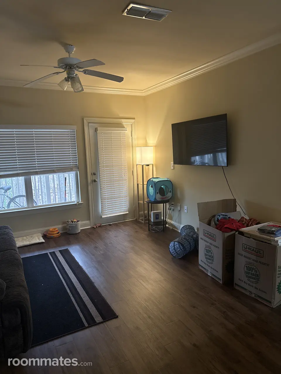 Profile photo 5 of 16