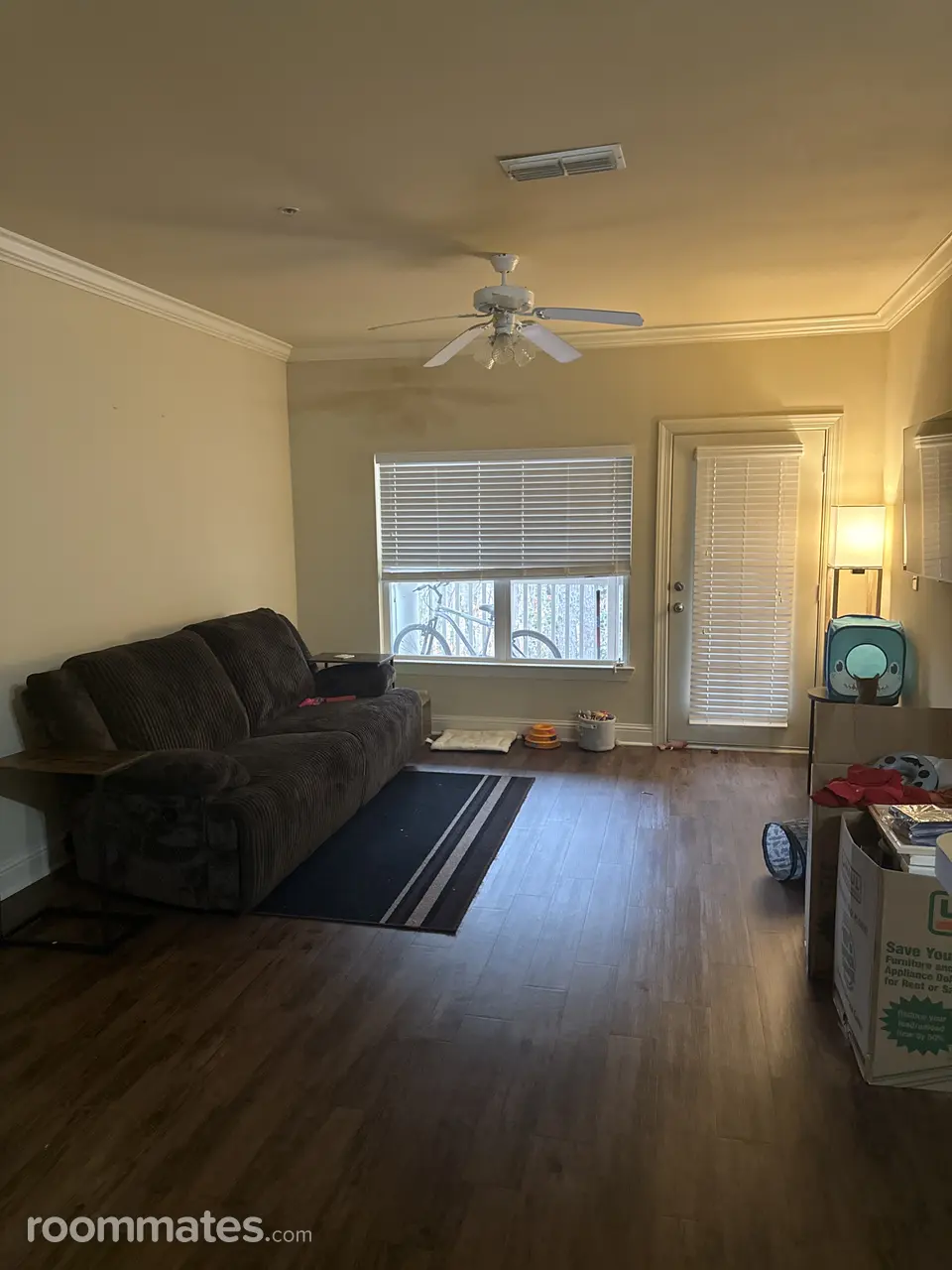 Profile photo 4 of 16