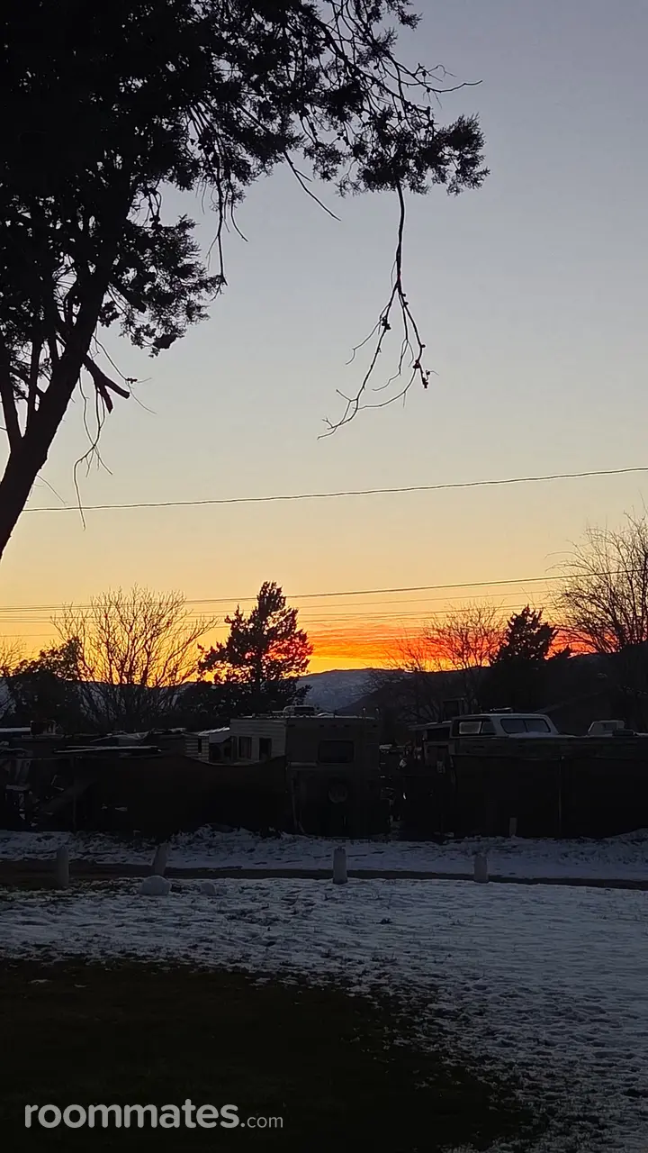 Profile photo 1 of 1