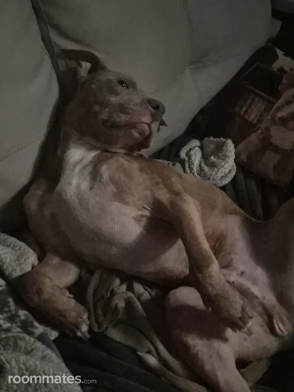 Profile photo 2 of 2