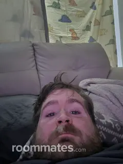 Roommate looking Novi, MI, $1000