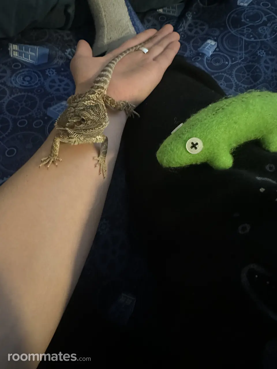 Profile photo 3 of 8