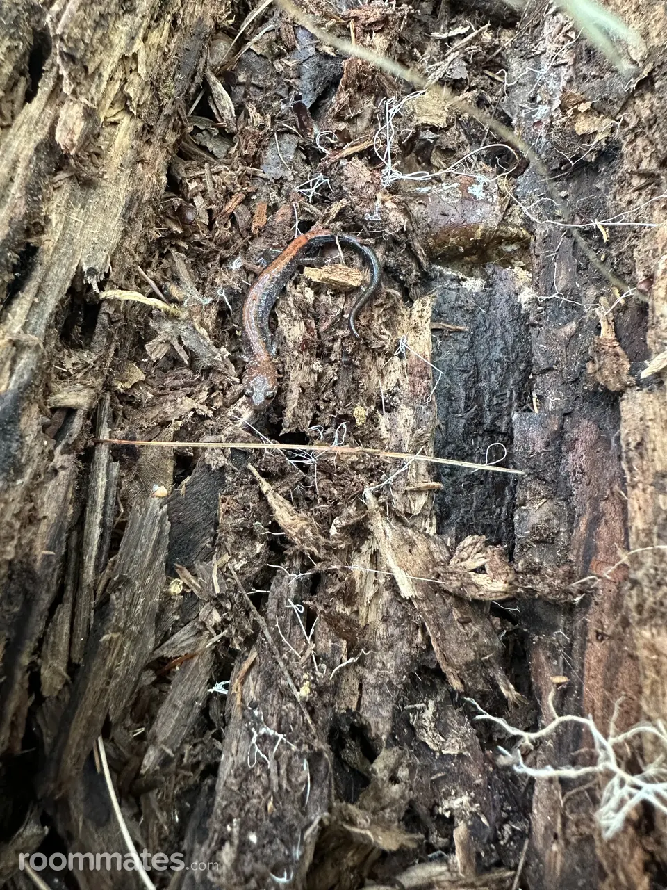 Profile photo 5 of 8