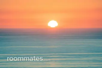 Roommate looking Tucson, AZ, $900