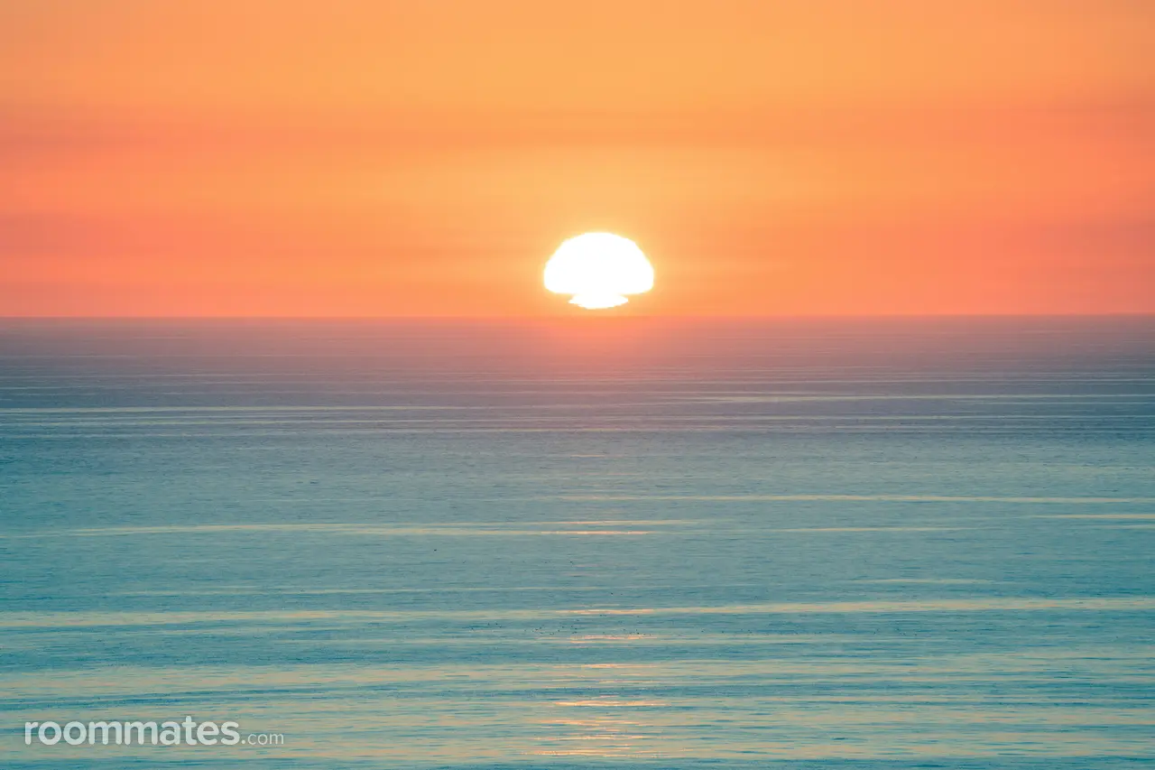 Profile photo 1 of 1