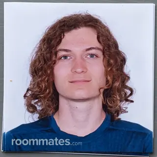 Roommate looking Houston, TX, $1000