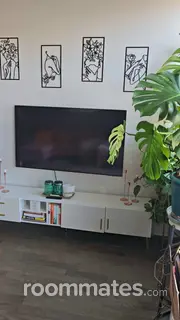 Room for rent in Nashville, TN $1212, apartment