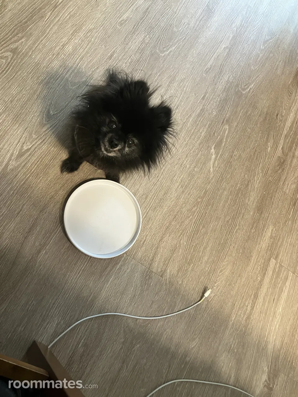 Profile photo 2 of 2