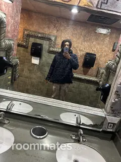 Roommate looking Detroit, MI, $800