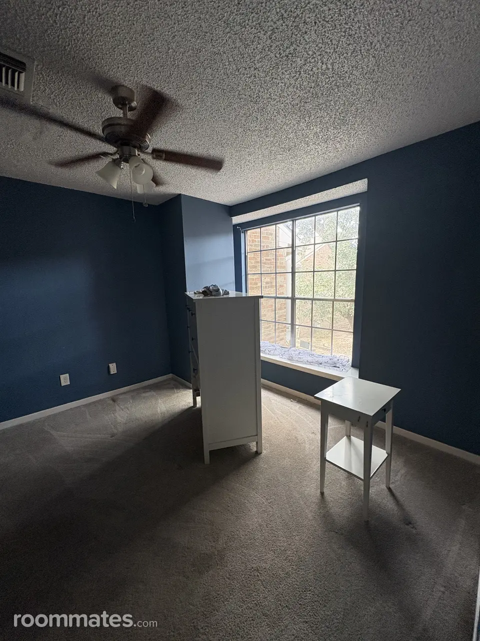 Profile photo 8 of 13