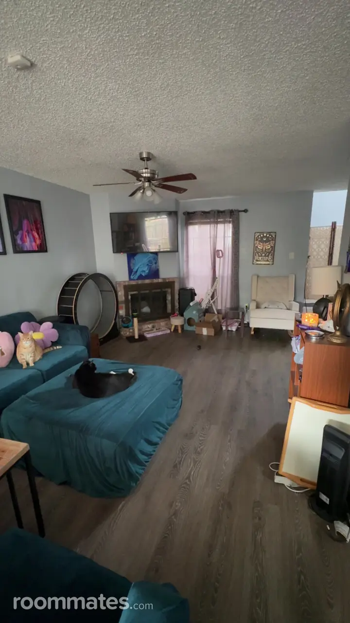 Profile photo 1 of 13