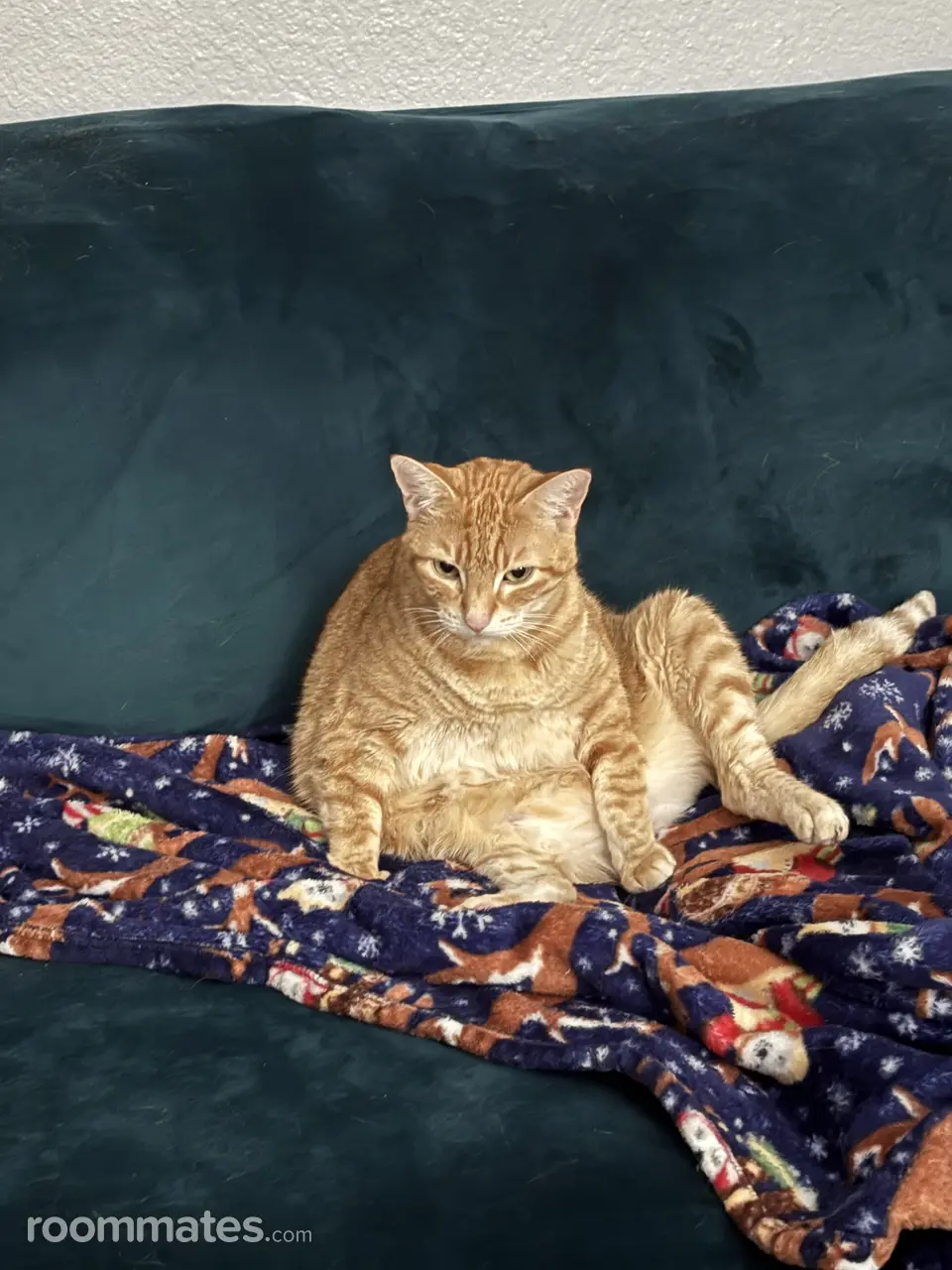 Profile photo 10 of 13