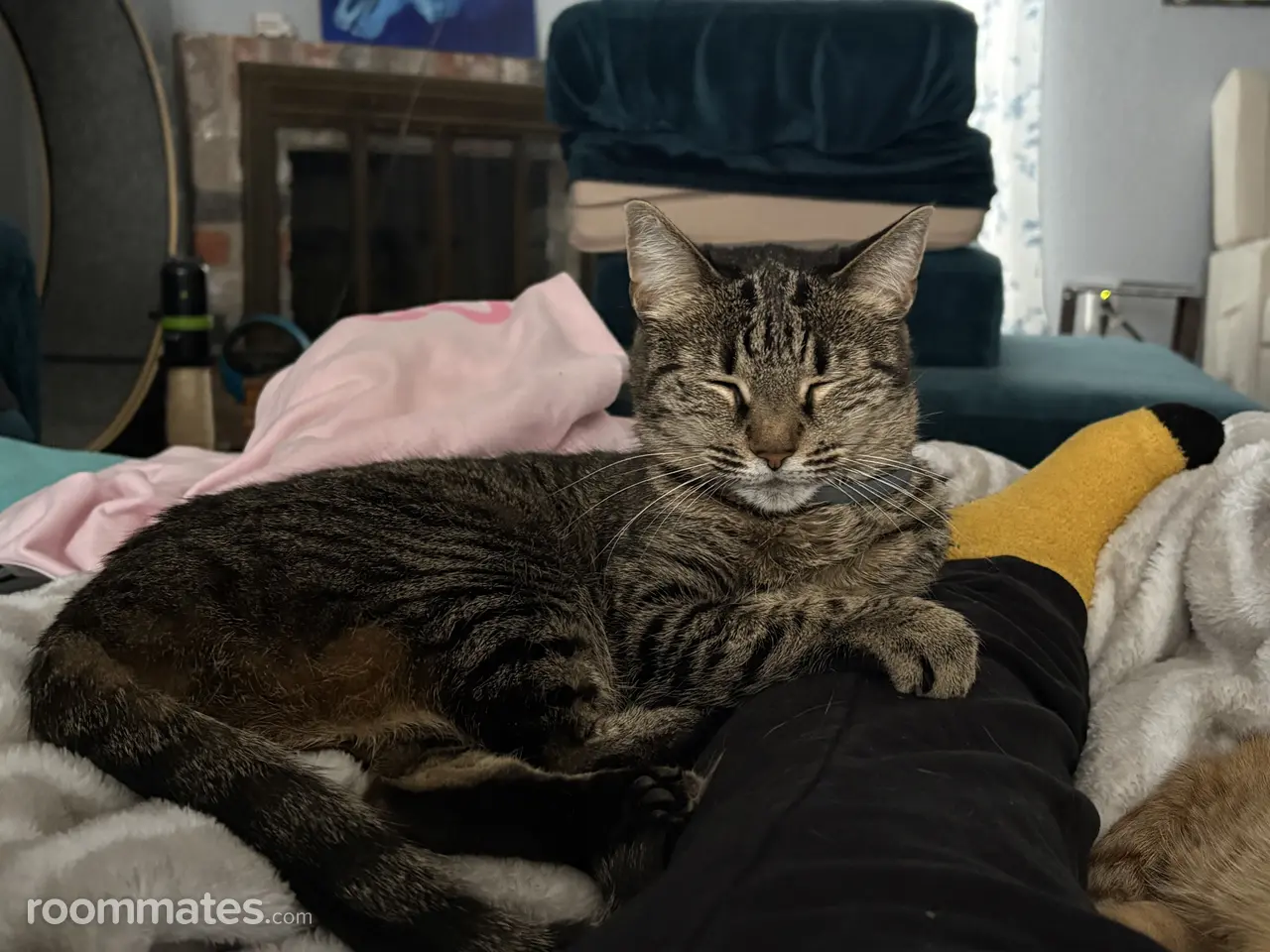 Profile photo 12 of 13