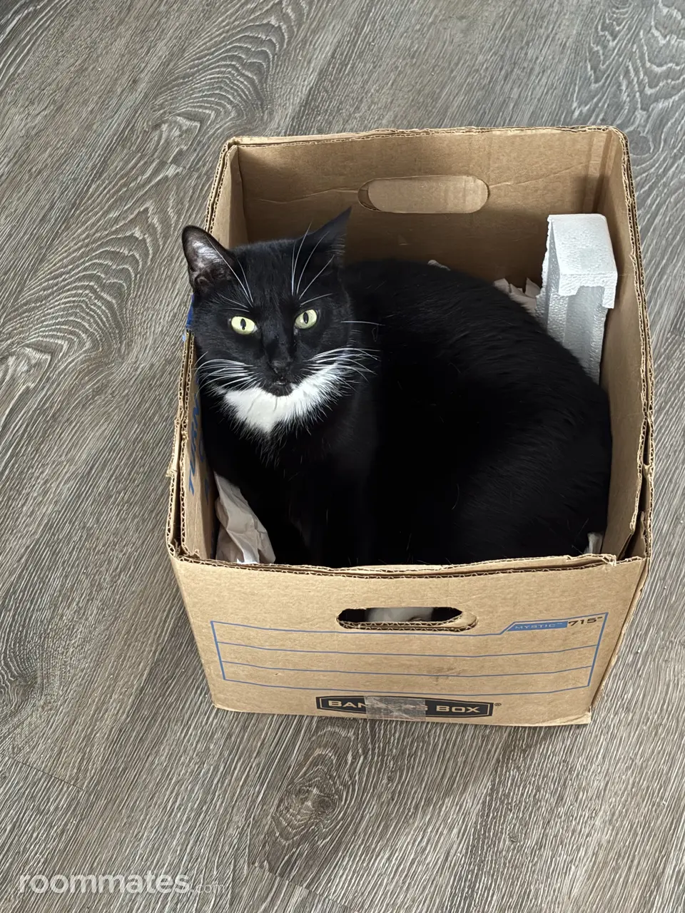 Profile photo 11 of 13