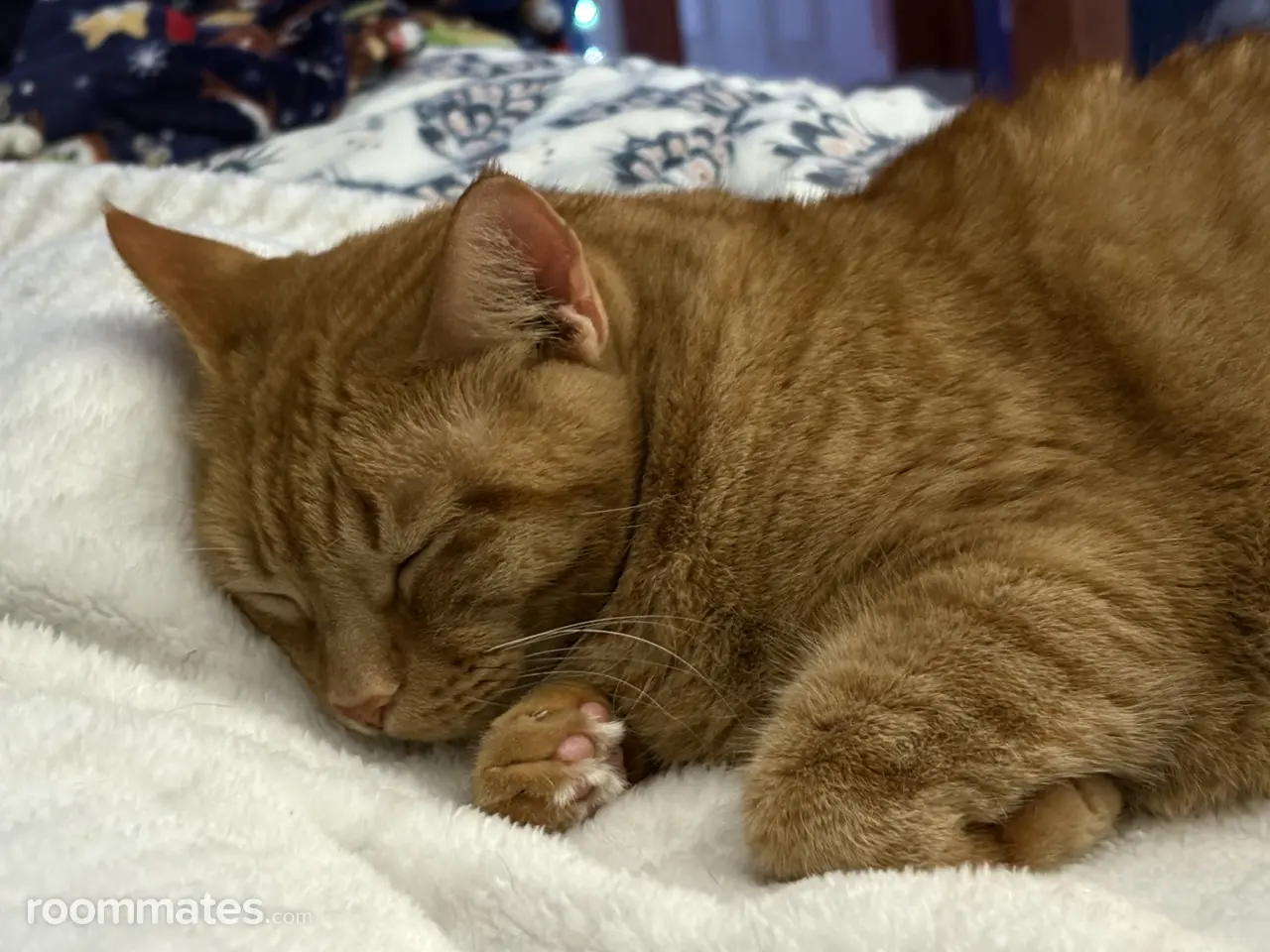 Profile photo 9 of 13