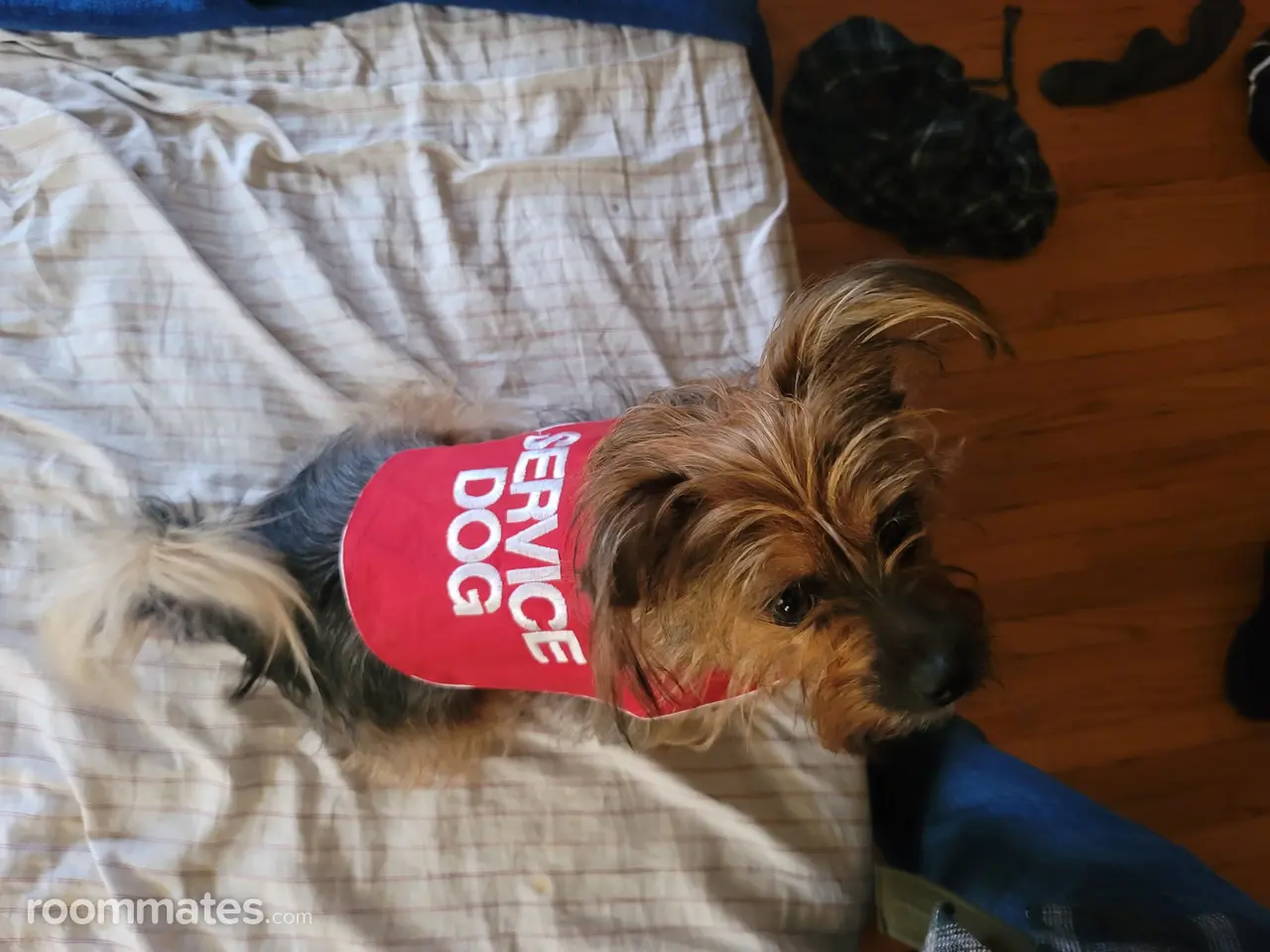 Profile photo 6 of 7