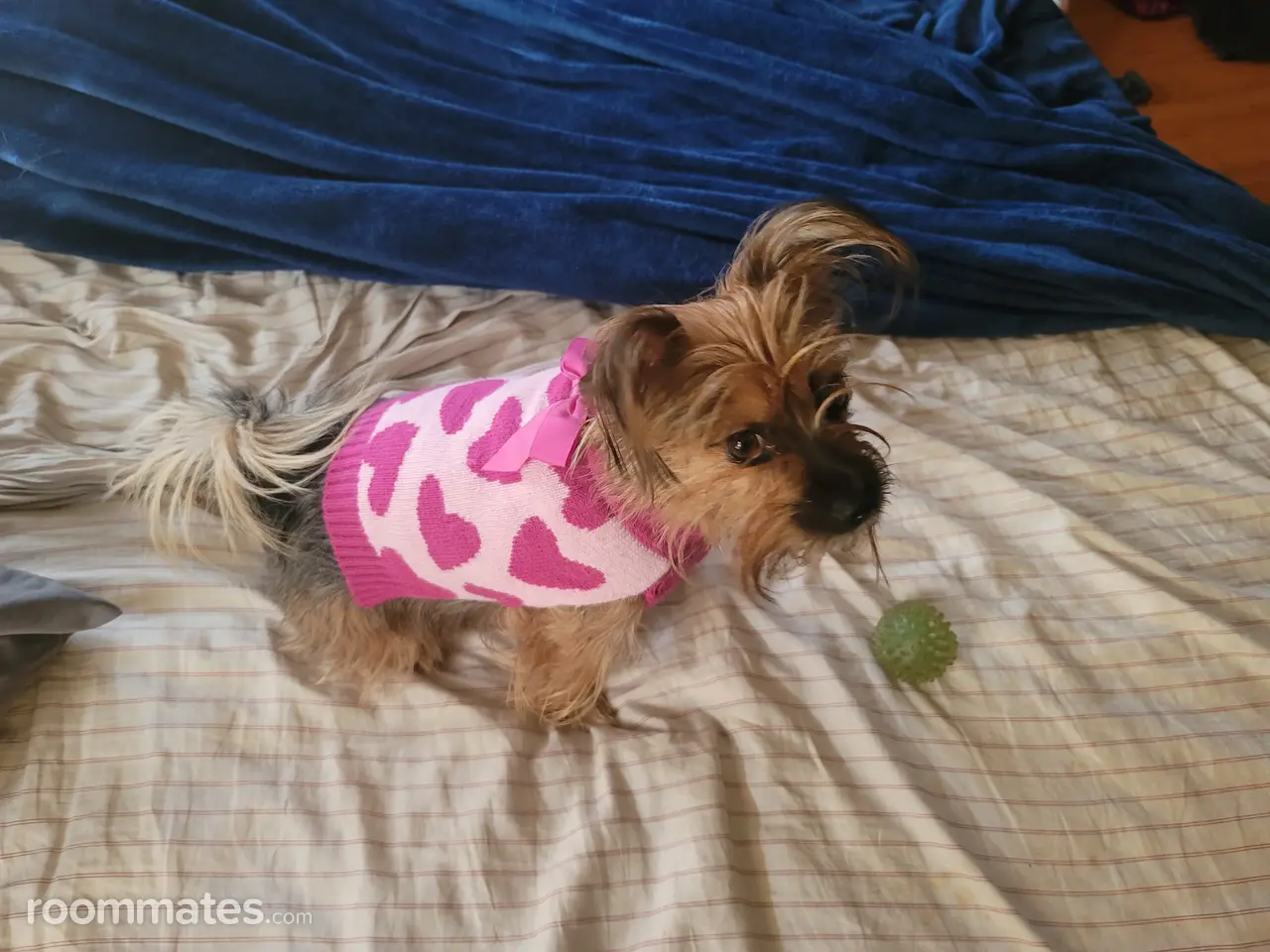 Profile photo 7 of 7