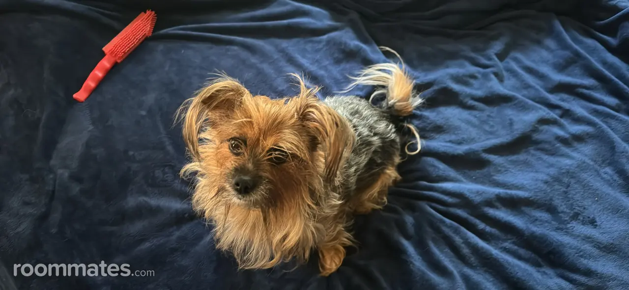 Profile photo 3 of 7