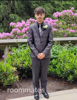 Roommate looking Bethlehem PA, $700