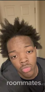 Roommate looking Lees Summit, MO, $700