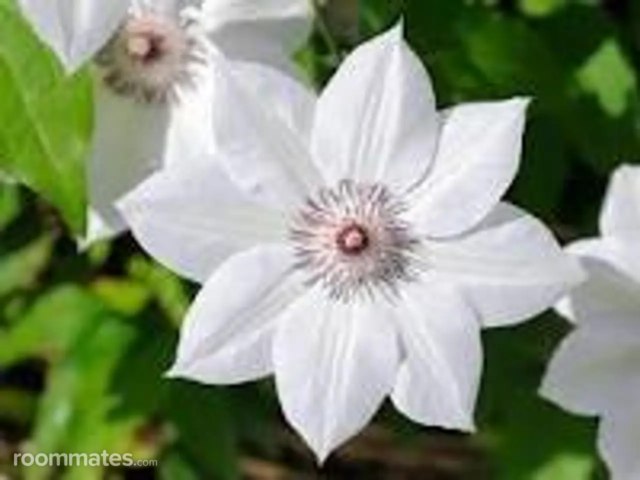 Profile photo 1 of 1