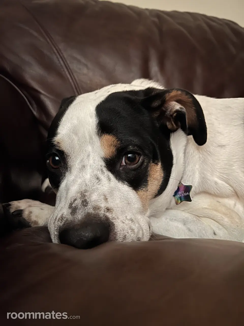 Profile photo 10 of 11