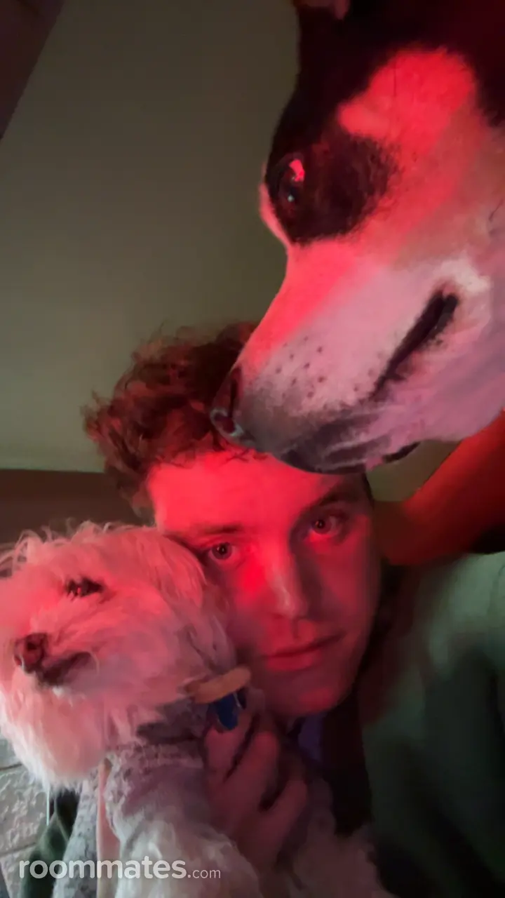 Profile photo 7 of 11